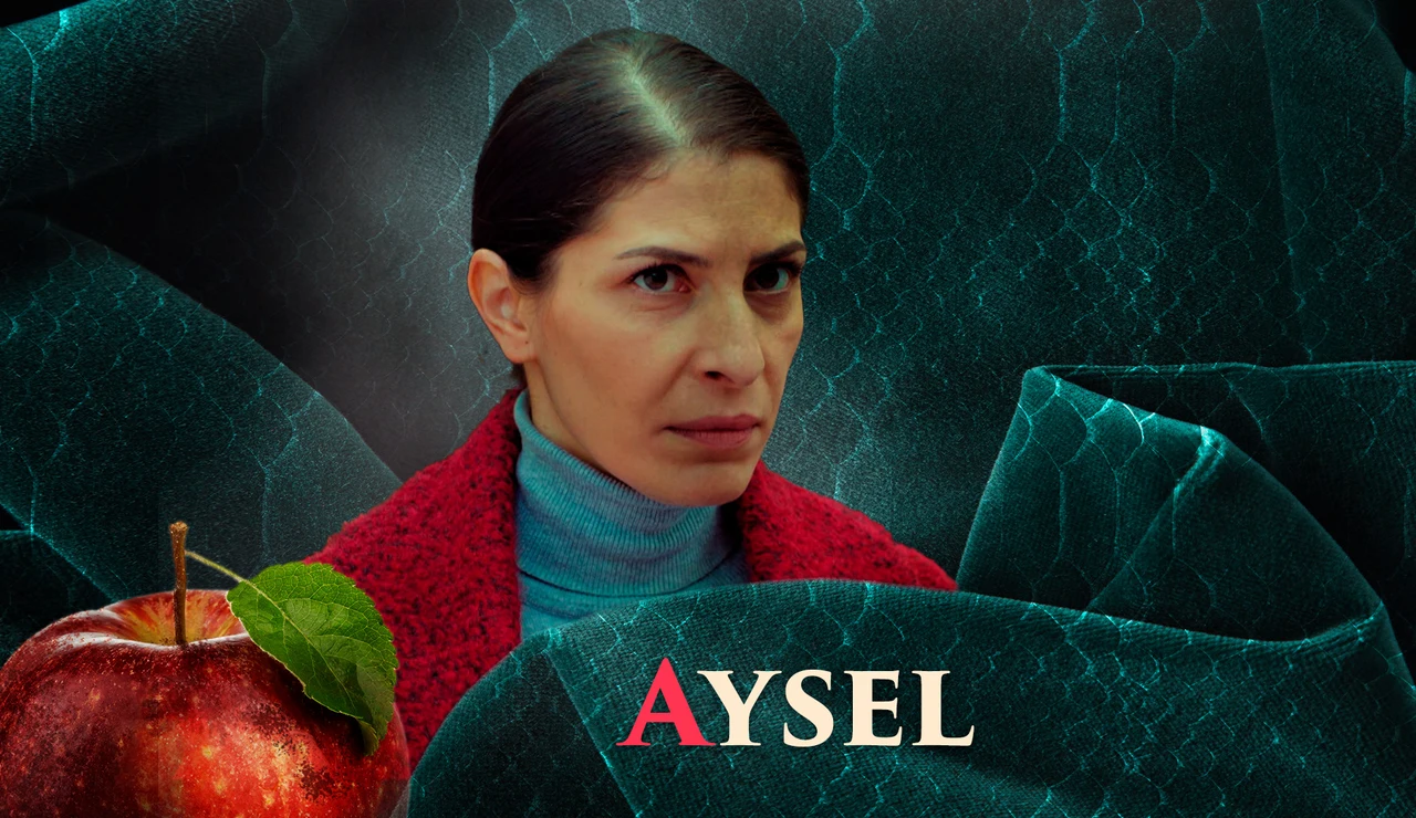 Vildan Vatansever es Aysel